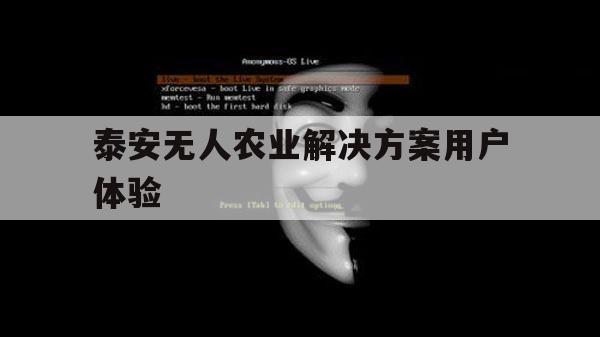 泰安无人农业解决方案用户体验（泰安无人村）