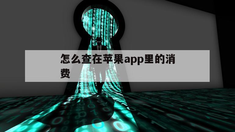 怎么查在苹果app里的消费（苹果手机怎么查消费app）