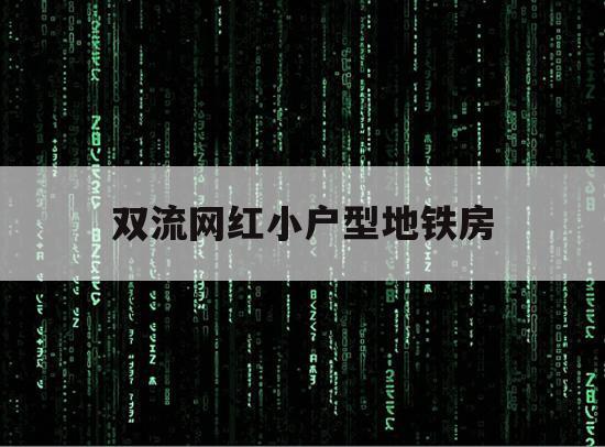 双流网红小户型地铁房（双流网红楼盘）