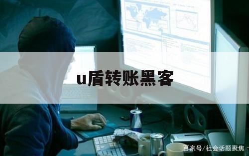 u盾转账黑客（网上转账）