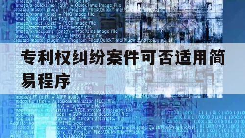 专利权纠纷案件可否适用简易程序（专利纠纷案件规定）