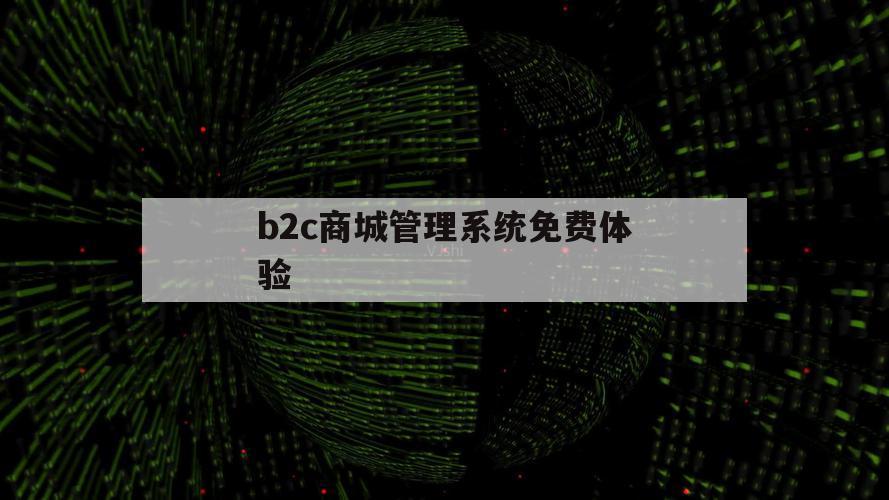 b2c商城管理系统免费体验（b2c网店系统）