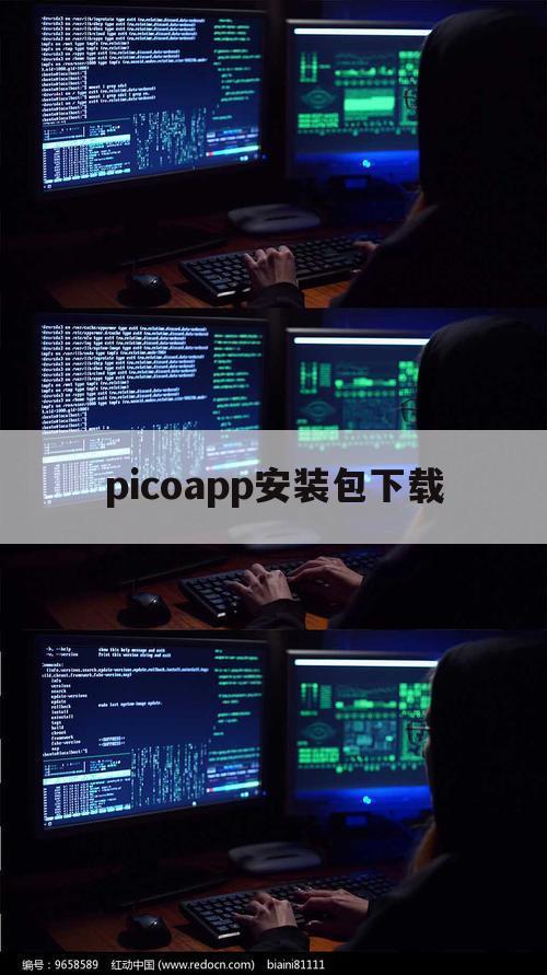 picoapp安装包下载（picoapp下载安装最新）