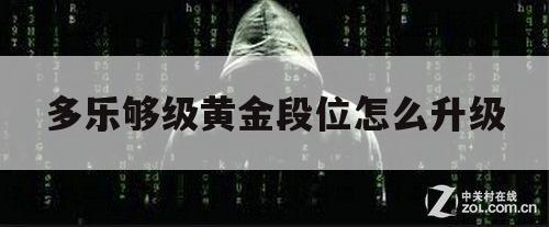 多乐够级黄金段位怎么升级（多乐够级段位在哪看）