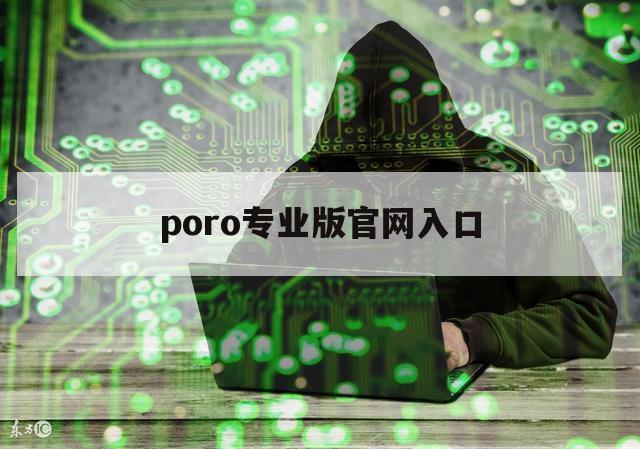 poro专业版官网入口（中国pororo）