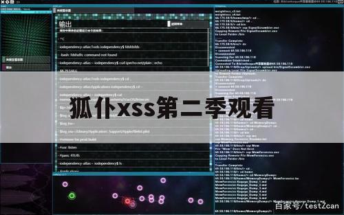 狐仆xss第二季观看（狐妖仆xss在线看）