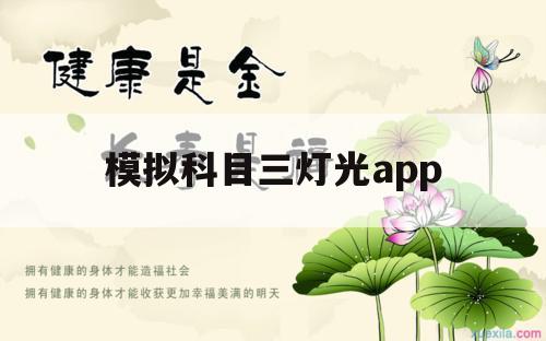 模拟科目三灯光app（模拟科目三灯光考试口诀）