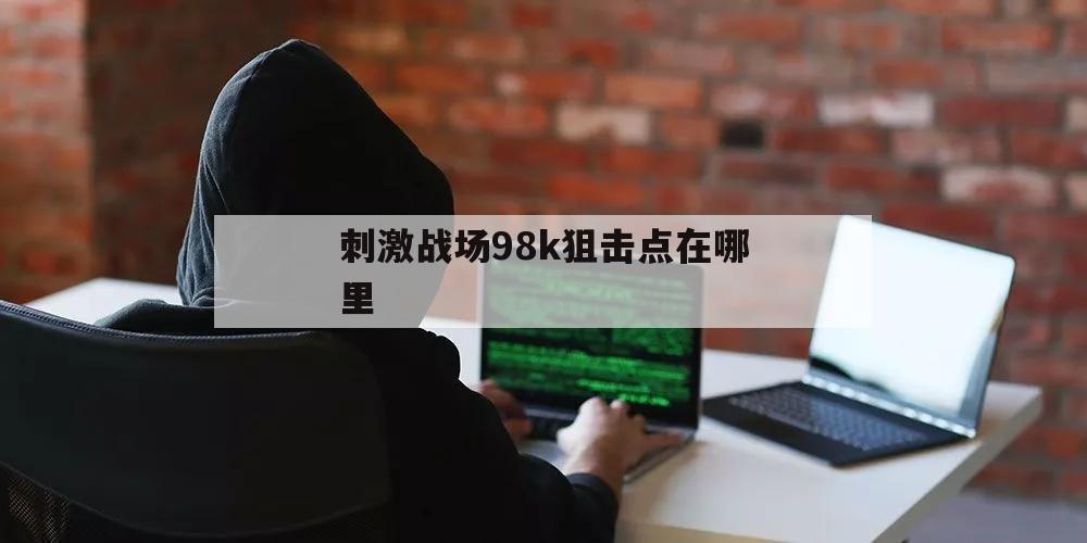 刺激战场98k狙击点在哪里（刺激战场里面的狙击枪有哪些）