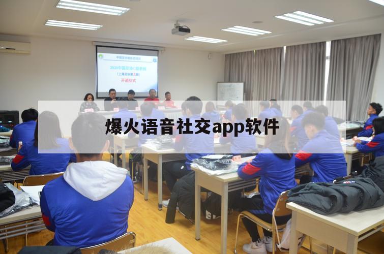 爆火语音社交app软件（最近很火的语音聊天app）