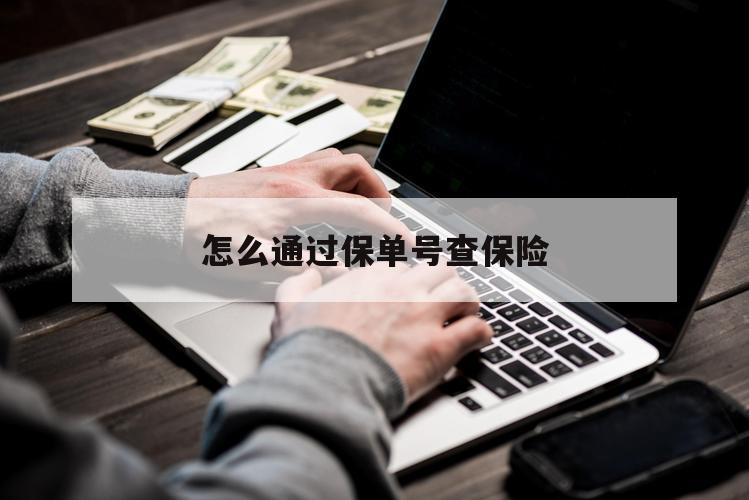 怎么通过保单号查保险（怎么通过保险单号查保险）
