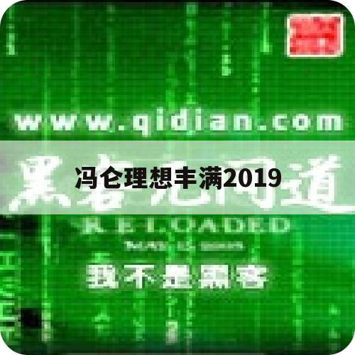 冯仑理想丰满2019（冯仑理想丰满下载）