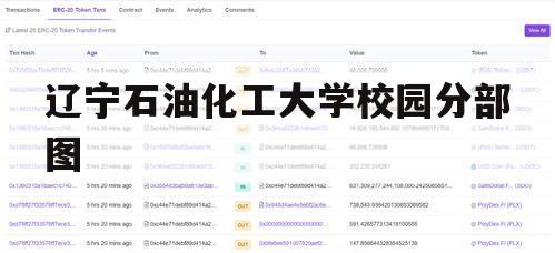 辽宁石油化工大学校园分部图（辽宁石油化工大学地址街道）