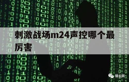 刺激战场m24声控哪个最厉害（刺激战场M24）