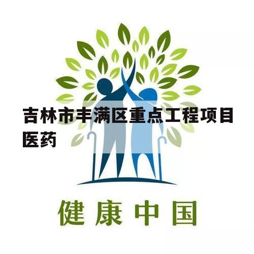 吉林市丰满区重点工程项目医药（吉林省重点工程项目）