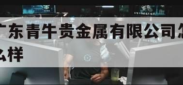 广东青牛贵金属有限公司怎么样（广东青牛贵金属经营有限公司）