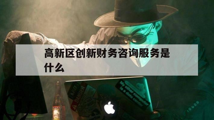 高新区创新财务咨询服务是什么（高新区会计）