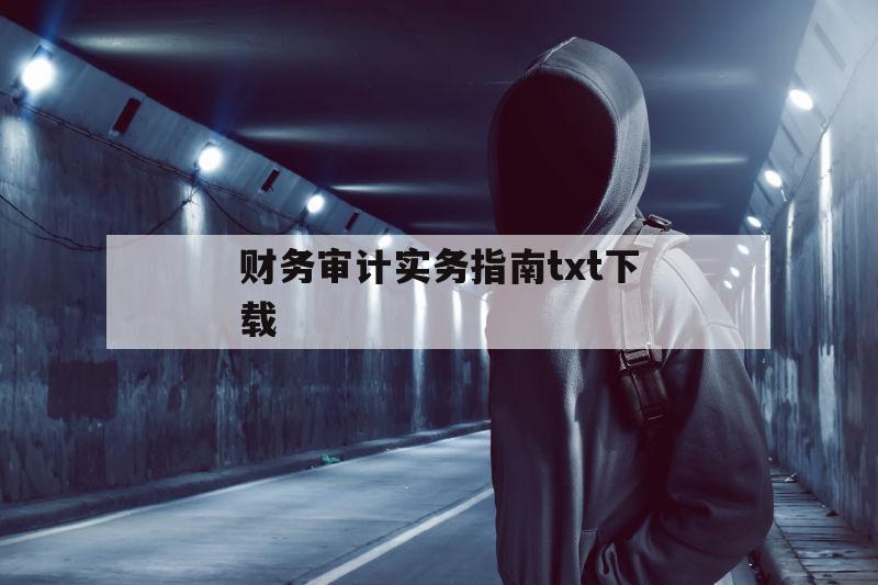 财务审计实务指南txt下载（审计实训教程第三版pdf）