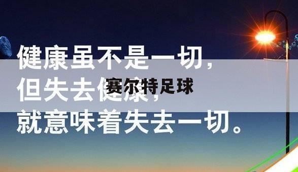 赛尔特足球（博尔特参加足球比赛）