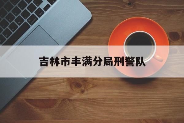 吉林市丰满分局刑警队（吉林市公安局丰满分局）