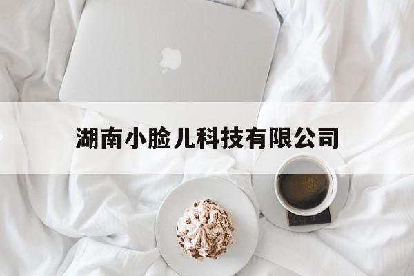 湖南小脸儿科技有限公司（湖南小脸儿网络科技有限公司）