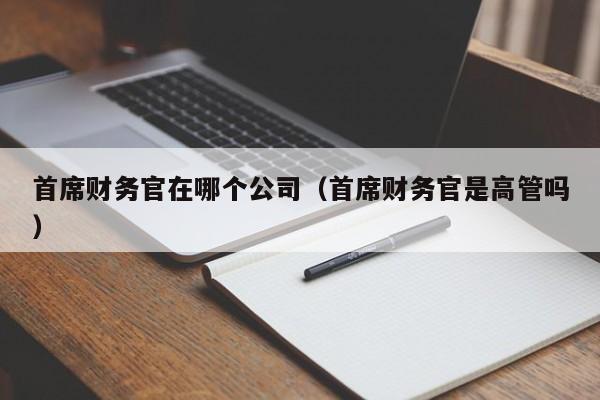 首席财务官在哪个公司（首席财务官是高管吗）