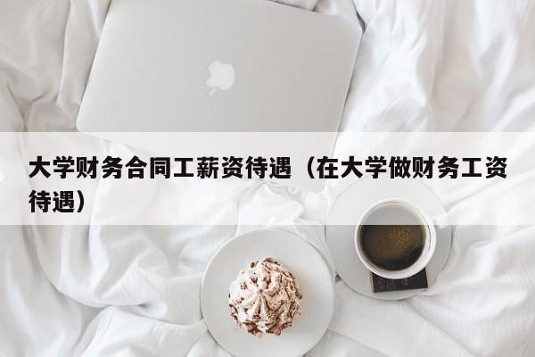 大学财务合同工薪资待遇（在大学做财务工资待遇）