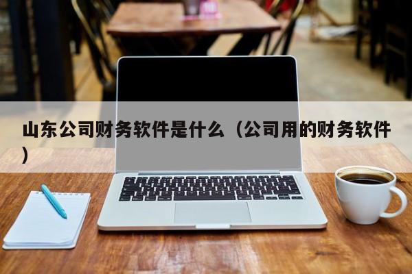 山东公司财务软件是什么（公司用的财务软件）