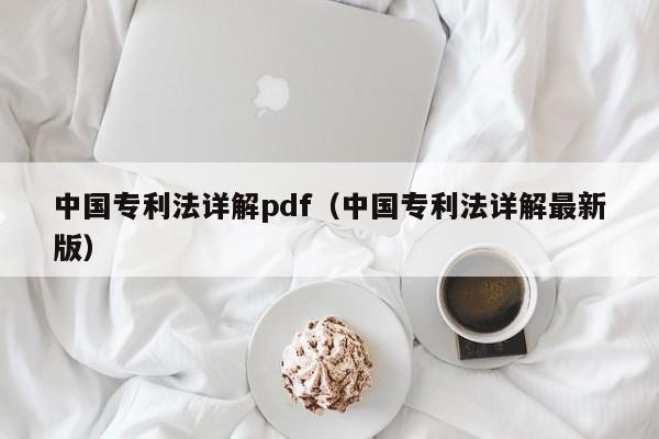 中国专利法详解pdf（中国专利法详解最新版）