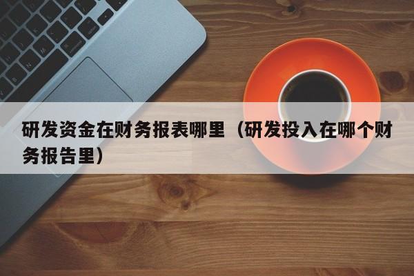 研发资金在财务报表哪里（研发投入在哪个财务报告里）