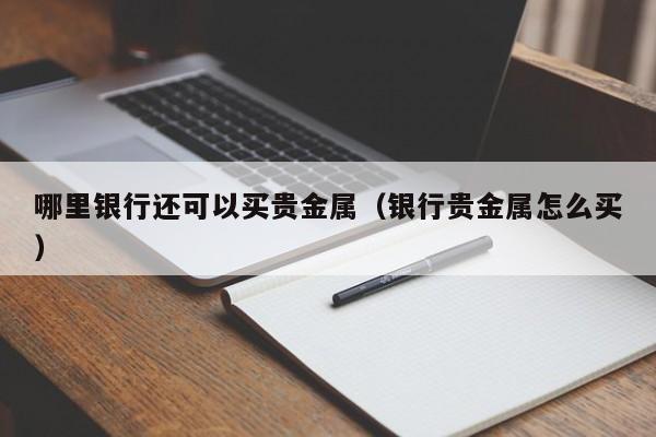 哪里银行还可以买贵金属（银行贵金属怎么买）