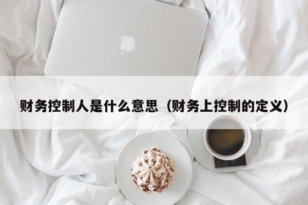 财务控制人是什么意思（财务上控制的定义）