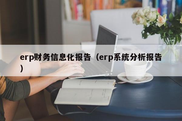 erp财务信息化报告（erp系统分析报告）