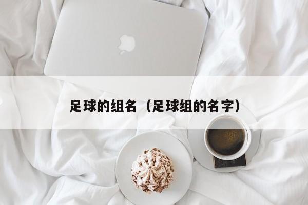 足球的组名（足球组的名字）