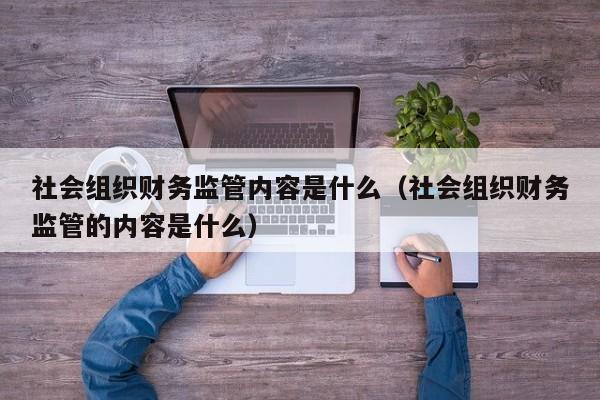 社会组织财务监管内容是什么（社会组织财务监管的内容是什么）