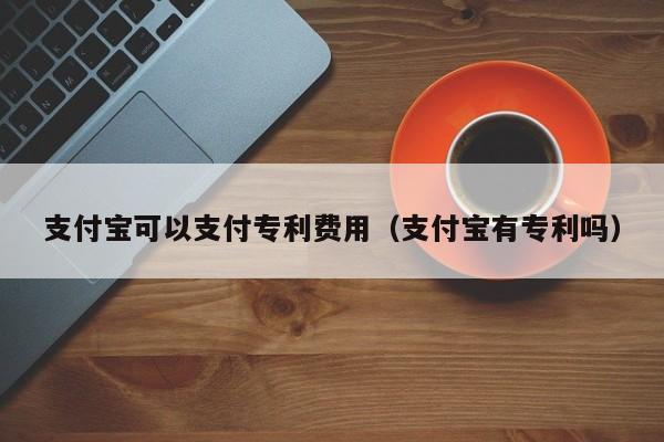 支付宝可以支付专利费用（支付宝有专利吗）