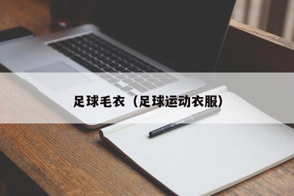 足球毛衣（足球运动衣服）