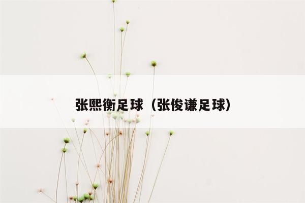 张熙衡足球（张俊谦足球）