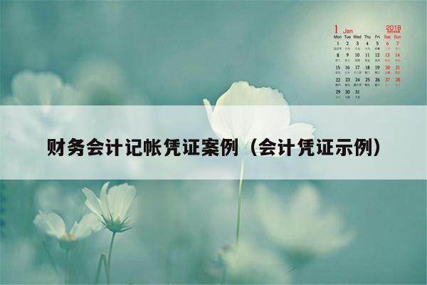 财务会计记帐凭证案例（会计凭证示例）