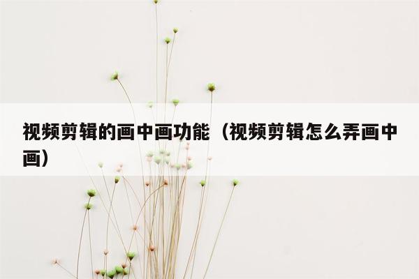 视频剪辑的画中画功能（视频剪辑怎么弄画中画）