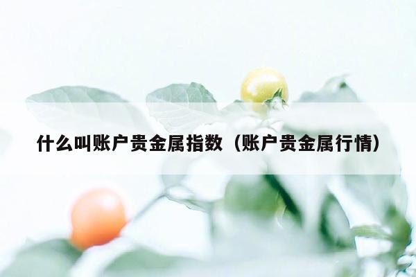 什么叫账户贵金属指数（账户贵金属行情）