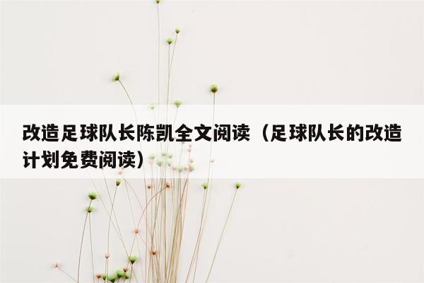 改造足球队长陈凯全文阅读（足球队长的改造计划免费阅读）