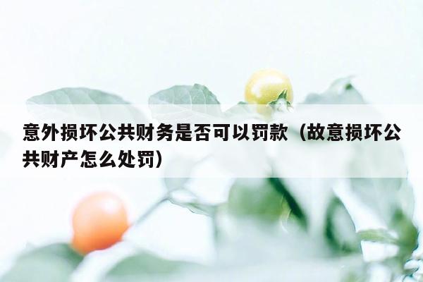 意外损坏公共财务是否可以罚款（故意损坏公共财产怎么处罚）