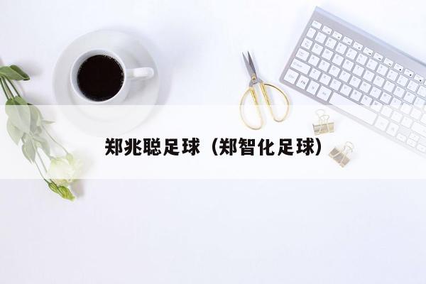 郑兆聪足球（郑智化足球）