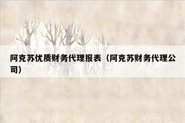 阿克苏优质财务代理报表（阿克苏财务代理公司）