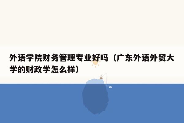 外语学院财务管理专业好吗（广东外语外贸大学的财政学怎么样）