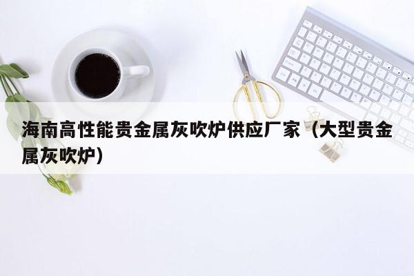 海南高性能贵金属灰吹炉供应厂家（大型贵金属灰吹炉）