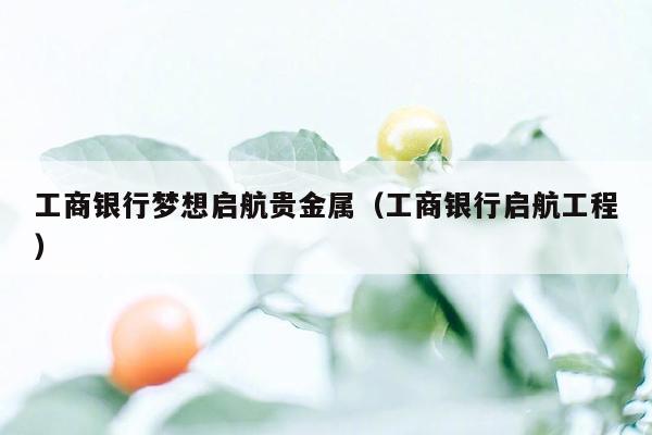 工商银行梦想启航贵金属（工商银行启航工程）