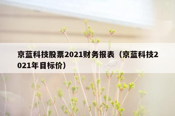 京蓝科技股票2021财务报表（京蓝科技2021年目标价）