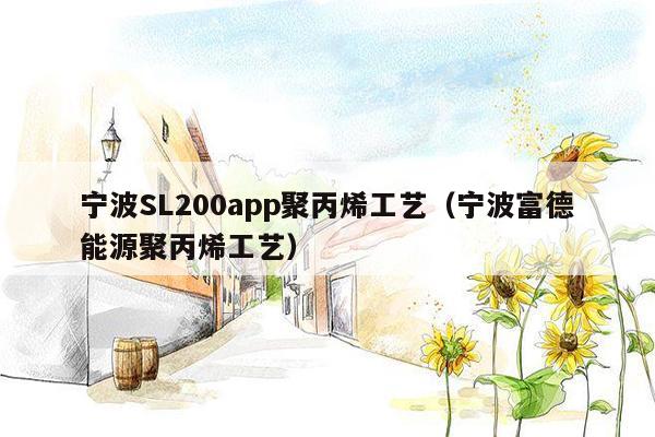 宁波SL200app聚丙烯工艺（宁波富德能源聚丙烯工艺）