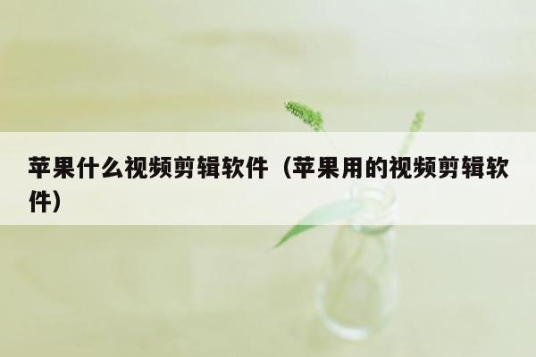 苹果什么视频剪辑软件（苹果用的视频剪辑软件）